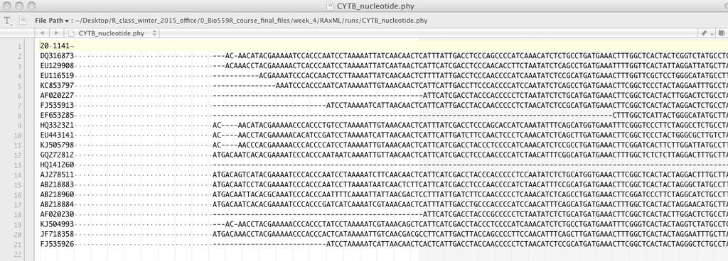 Phylogenetic Inference: RAxML GUI You can save your alignment as.phylip using mesquite.