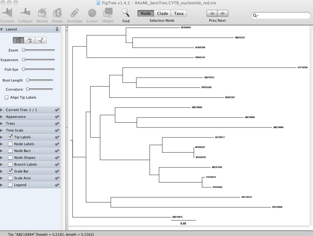 Phylogenetic Inference: Rapid Visualization of Trees (RAxML) Like after our garli run, we can explore our best ML tree using FigTree. You can drag and drop the tree file: RAxML_bestTree.