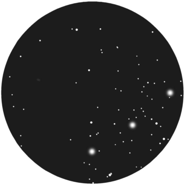 M78 is barely visible through the author s 10x50 binoculars as a small, very faint blur along the left edge of this sketch.