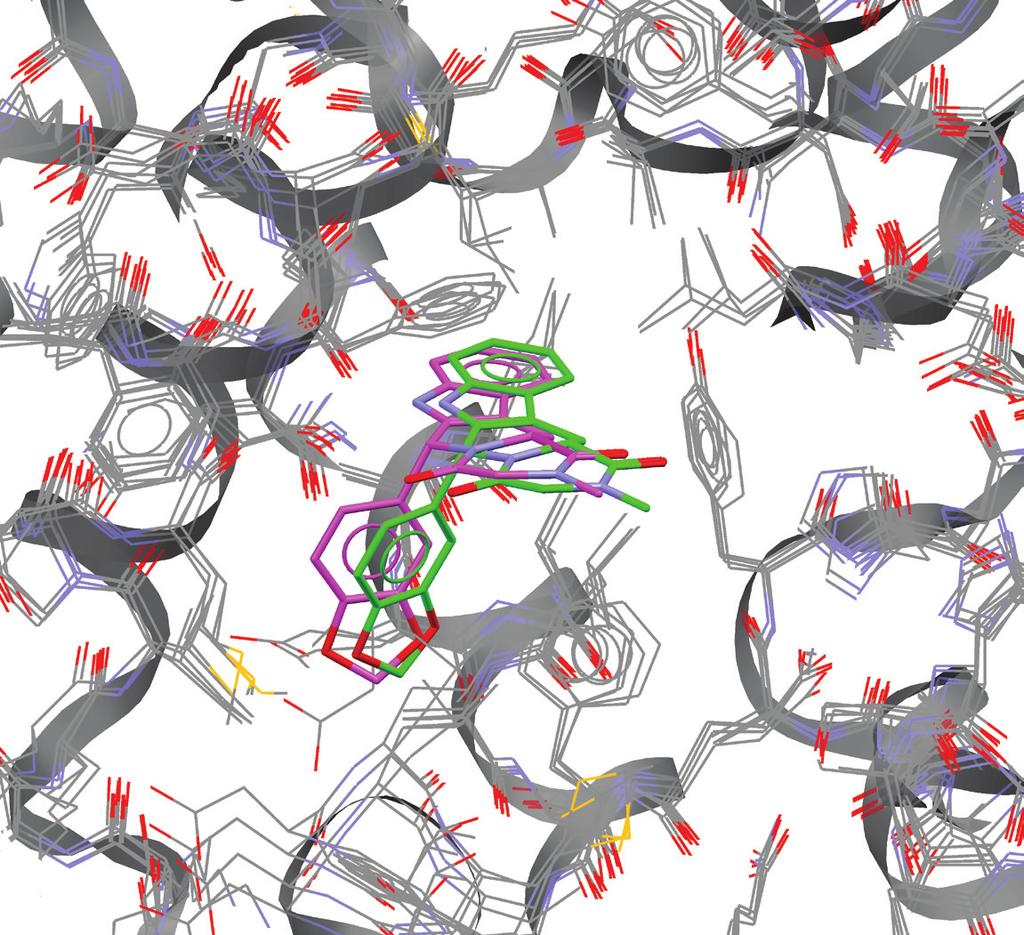 In the absence of a protein structure, the CSD-driven Ligand Overlay enables you to build a new pharmacophore hypothesis for use in virtual screening, supported by a validated set of observable