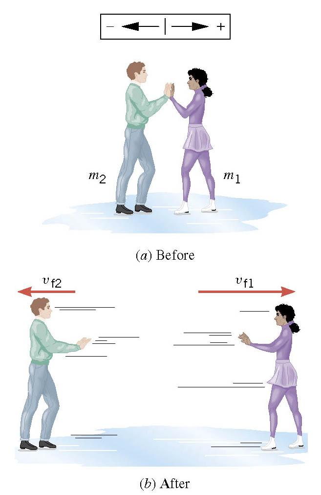 Another Look at the Ice Skater Problem Startng from rest, two skaters push off aganst each other on ce where frcton s neglgble. One s a 54-kg woman and one s a 88-kg man.