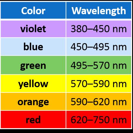 (We can measure the amount of absorbed light by a device called a photospectrometer, or spec 20, and the results are