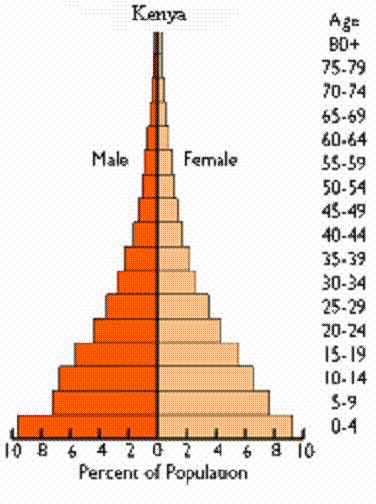 Expansive Pyramid A steady upwards narrowing shows that more people die at each higher age band This type of pyramid indicates a