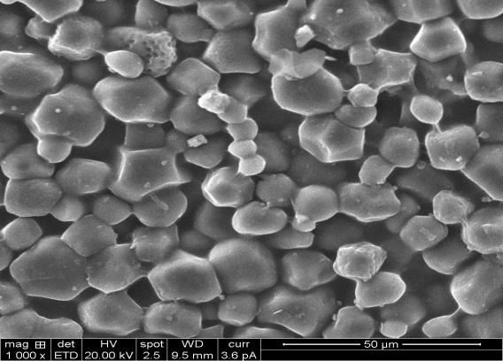 SEM The surface morphology of the nanocomposite was examined by scanning electron microscopy.