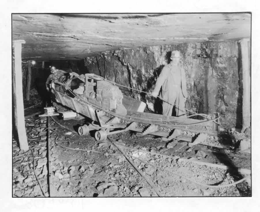 DIRECTORY OF COAL MINES IN ILLINOIS 7.
