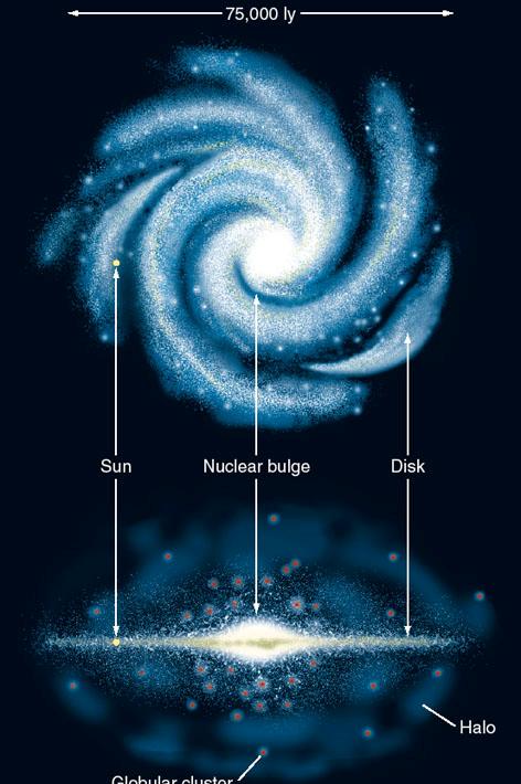 Stellar Populations What the Milky Way is made of Population I Population II Population I: Young stars: