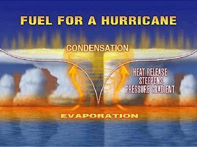 Hurricane Ingredients Warm tropical water - at least 80 F High
