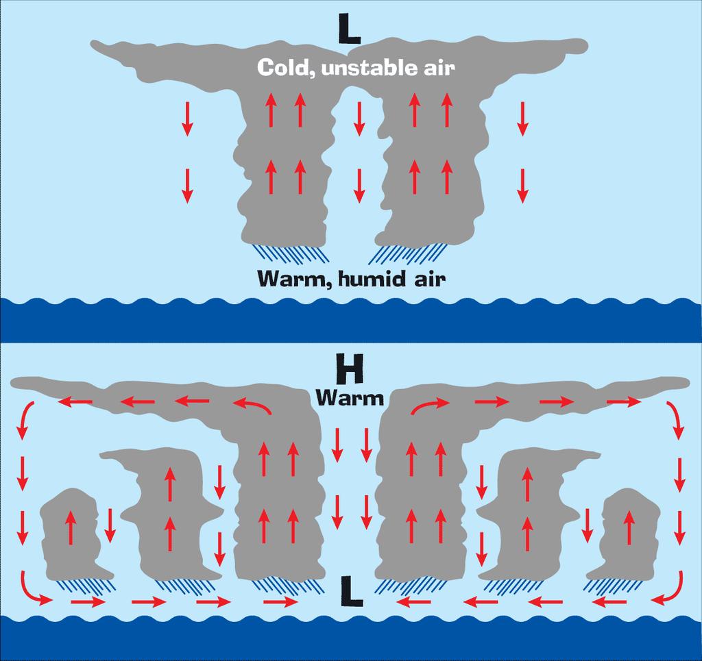 Hurricane Formation As water evaporates from warm ocean waters, the warm, moist air (less dense) rises