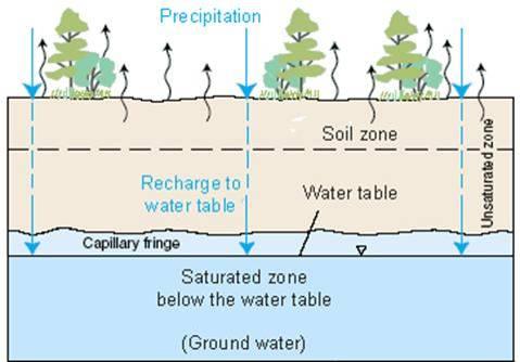 of the water table