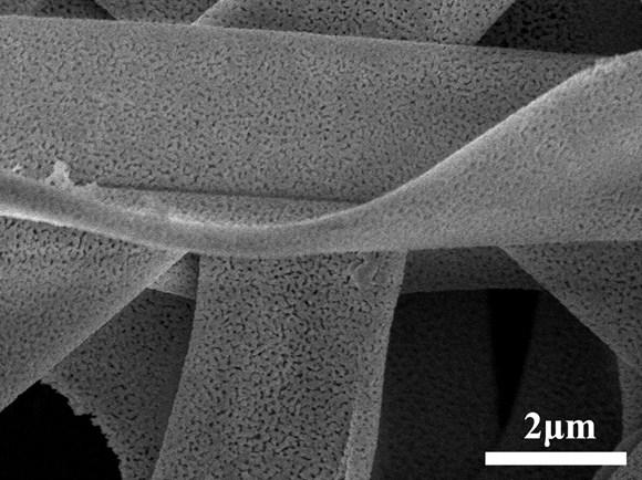 Fig. S1 Typical SEM images of