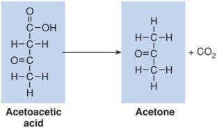 saturated if hydrocarbon chains of fatty acids are joined by single covalent bonds Are unsaturated if there are double bonds within hydrocarbon chains ydrolysis