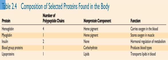Lipoproteins contain lipids Others, like hemoglobin, contain a pigment Nucleic Acids