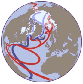 AMV: ocean circulation, not turbulent heat-flux Models indicate Atlantic MOC drives AMV