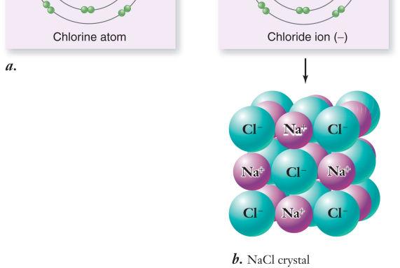 Chlorine Potassium Calcium Iron Chemical Bonds Moleculesare groups of atoms held together in a stable association. O2 Compoundsare molecules containing more than one type of element.