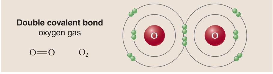 involve the formation or breaking of chemical bonds.
