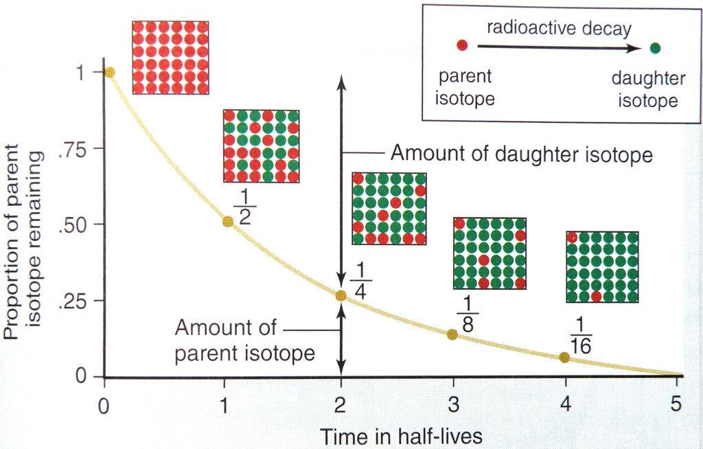 Radioactive Isotopes Some isotopes are unstable