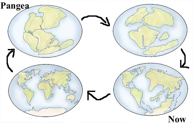 Describe Tectonic Plates and how they move: broken pieces of Earth s crust moved by convection currents in the mantle and density new crust made at seafloor spreading ridges/rifts old crust recycled