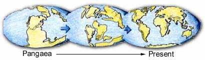 Pangaea There is no way to prove or disprove this However, Bible believing