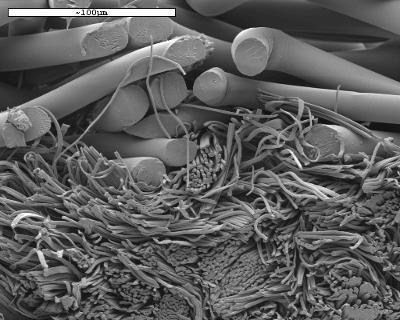fibers, particle-nonwoven composites Fiber splitting for smaller diameters Large