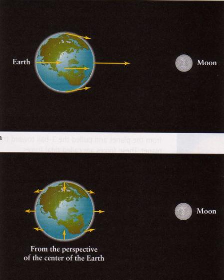 2. all be falling toward the planet at the same speed. 3. all be falling toward the planet with ball 3 moving fastest. 4.
