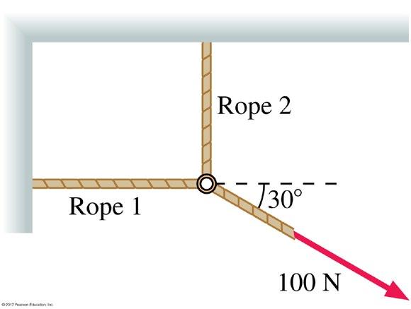 Solve: (b) While the leaf hopper is in the act of jumping, it experiences an upward acceleration of 4 m/s, so the net force acting on it must be upward.