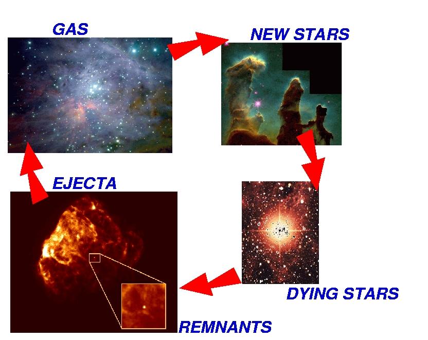 Cycle of GAS and STARS in GALAXIES Gas is transformed into stars. Each star burns H and He in its nucleus and produces heavy elements.