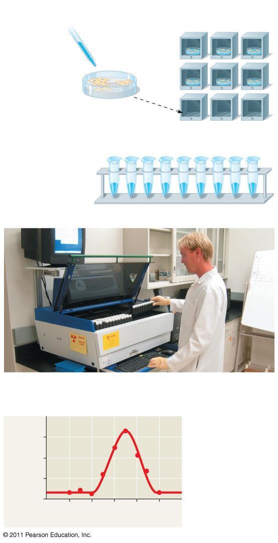 Counts per minute ( 1,000) Figure 2.6 TECHNIQUE Compounds including radioactive tracer (bright blue) Human cells Incubators 10 C 15 C 20 C 1 Human cells are incubated with compounds used to make DNA.
