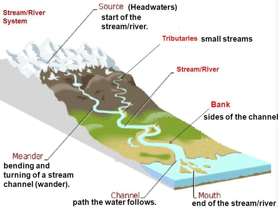 https://igcserevise.weebly.com/thedrainage-basin.html Fig.2.