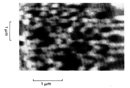 Fischer (1988-1989) by using a gold coated nanoparticle as