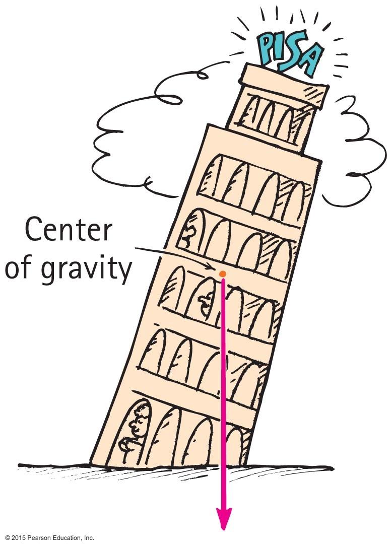Center of Gravity Stability The location of the center of gravity is important for stability.