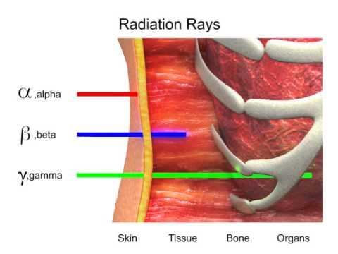 Radiation Type and Energy Radionuclide Primary Radiation Radiation Energy I-131