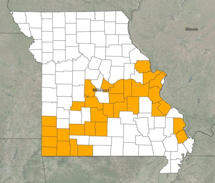Major Disaster Declaration Approved MO FEMA-4250-DR-MO On January 21, 2015, a Major Disaster Declaration was approved for the State of Missouri For severe storms, tornadoes, straight-line