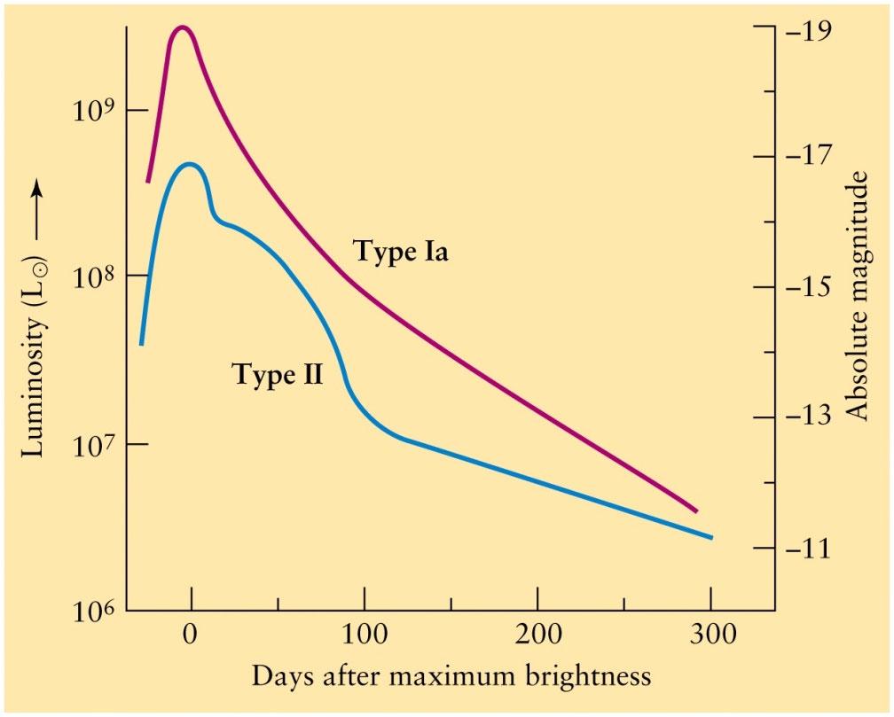 Types of Supernovae Observational studies indicate there are two general kinds of supernovae light curves, and hence there must be two different mechanisms for the explosion.