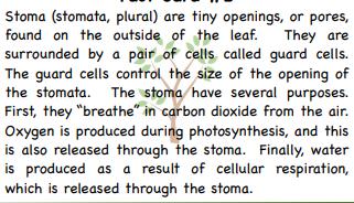 Advanced Station 7 1. What is the function of the Stoma? 1. Stomas bring in CO2 and release Oxygen and water.