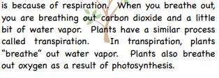 Both transpiration and respiration is the release of gases and water.