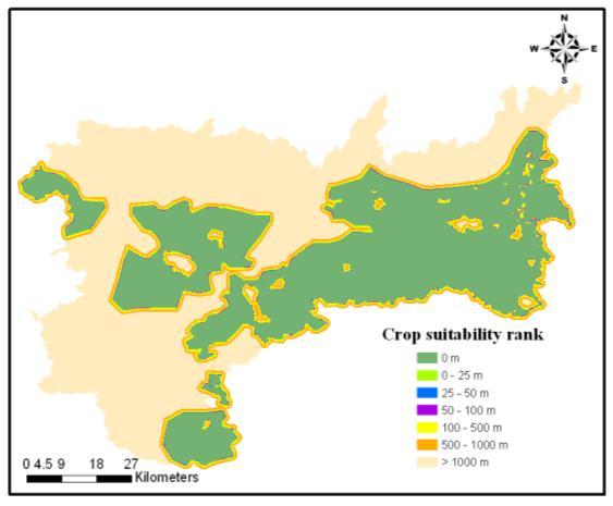 Depending on the criteria each interval class for the homestead and cropland map were allocated a suitability rank to facilitate the suitability analysis.
