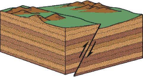 two normal faults occur parallel to each other, with the plate in-between dropping down as the plates move away from each other - forms rift valley land between two parallel faults rises - forms