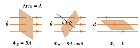 Magnetic Flu Perpendicular component of vector field through a surface S Φ B = B! nda ^ = B! d A!