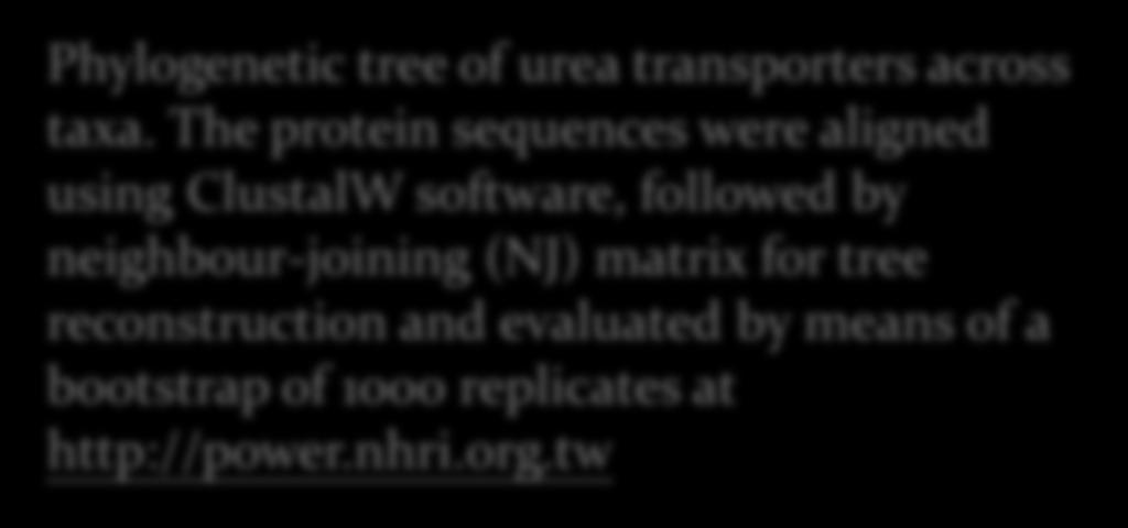 The protein sequences were aligned using ClustalW