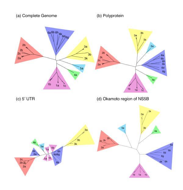 Input Sequences Make the Tree Different HIV Hraber et al.
