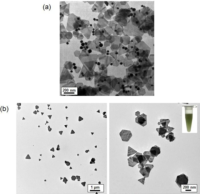 Fig. S5 (a) A TEM image of a sample used for estimating the yield of Au nanoplates. All nanoplates and nanospheres were precipitated by centrifugation to remove excess PVP for ease of TEM sampling.