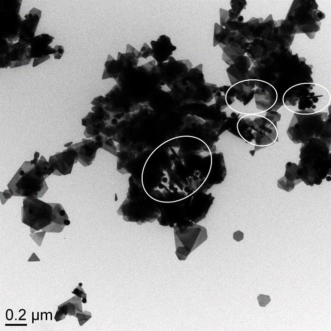 Fig. S8 A TEM image that show some Au nanoplates stand vertically