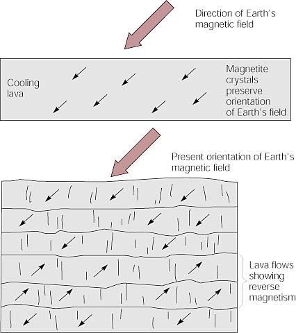 Magnetite mineral grains align with the earth's magnetic field and are frozen into position as the