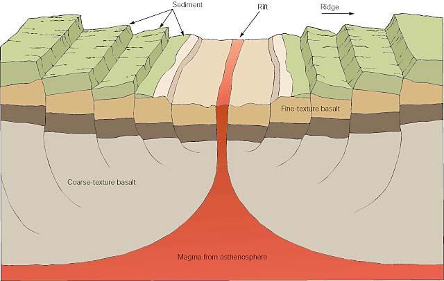 A divergent boundary is a new crust zone where molten magma from the asthenosphere rises, cools, and adds new crust to the edges of the separating plates.