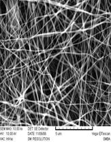 structure of electrospun materials during carbonization, oxidation step was carried out at 250 for 8 h under air.