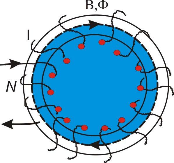 Magnetic field inside a toroid Β Amperian loop I Air inside R N Β ΣB l