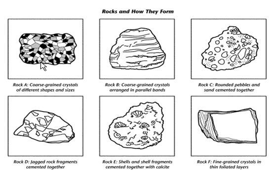 17. Classify each rock into its major group (igneous, sedimentary, metamorphic) and subgroups (intrusive, extrusive, clastic, chemical, organic, foliated or nonfoliated). 18. What is the rock cycle?