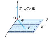 (b) A rectangular loop of size l b carrying a steady current is placed in a uniform magnetic field B Prove that the torque acting on the loop is given by m B where m is the magnetic moment of the