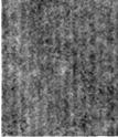 5 µm channels are shown in Figure 3, which shows