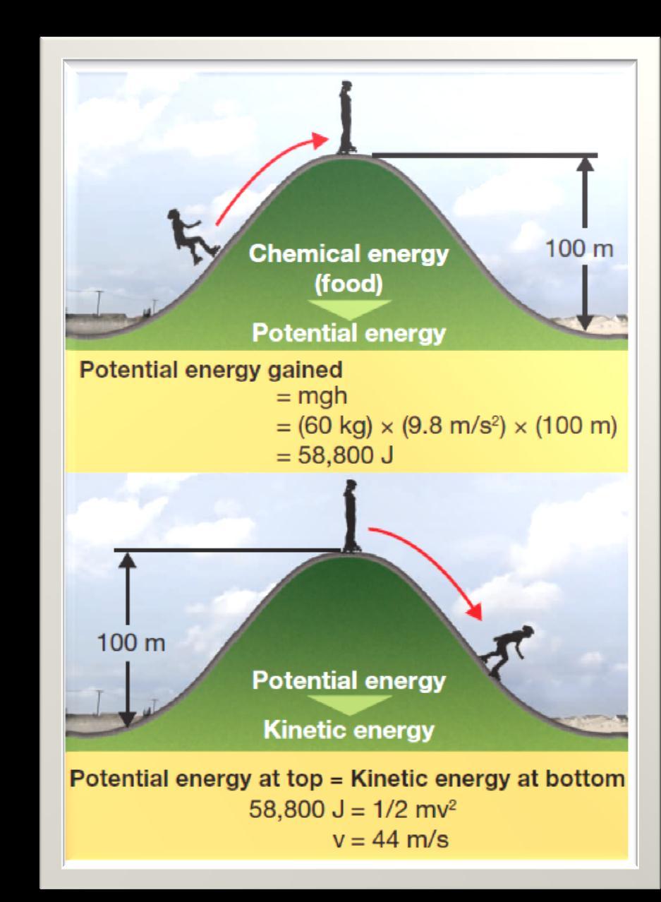 Potential Energy (PE) The stored energy that a body possesses because